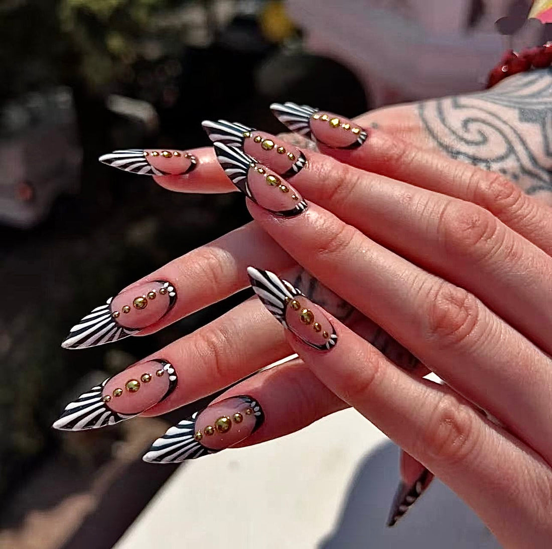 Zebra