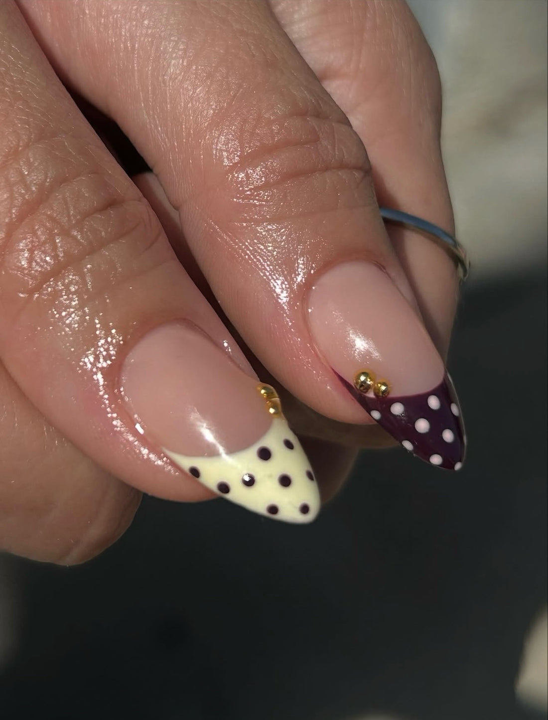 Dahlia Dot